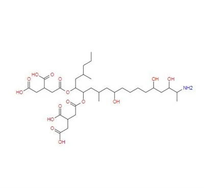 CAS: 116355-83-0 丨 FUMONISIN B1