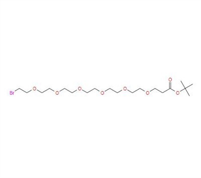 CAS: 1393330-41-0 丨 Bromo-PEG 6- t-butyl Ester